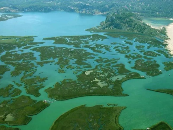 Dalyan Iztuzu Strand. Köyceğiz Villa Vermietung Urlaub