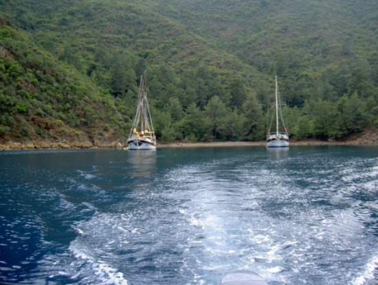 Aktivitäten Ekincik