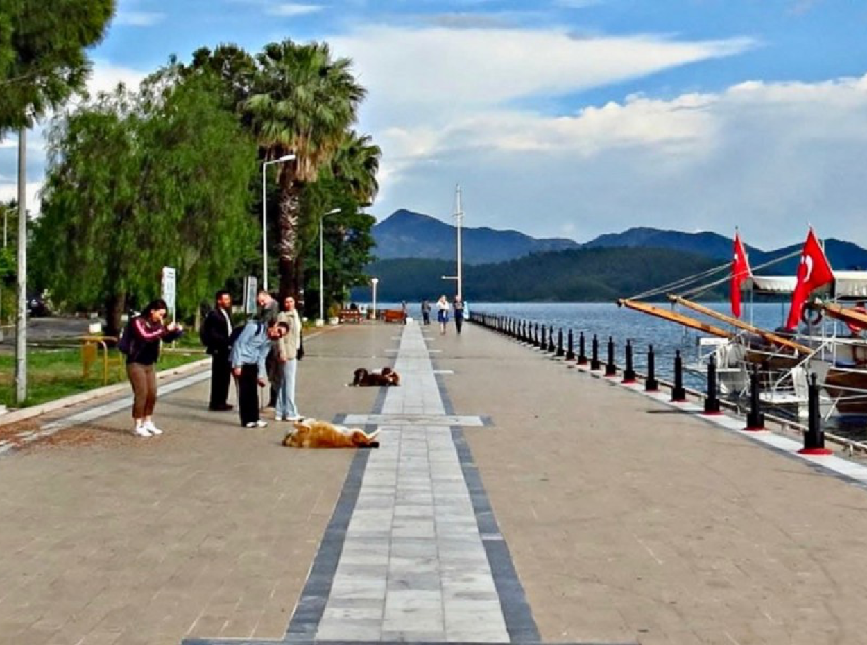 About Köyceğiz. Köyceğiz Villa Holiday