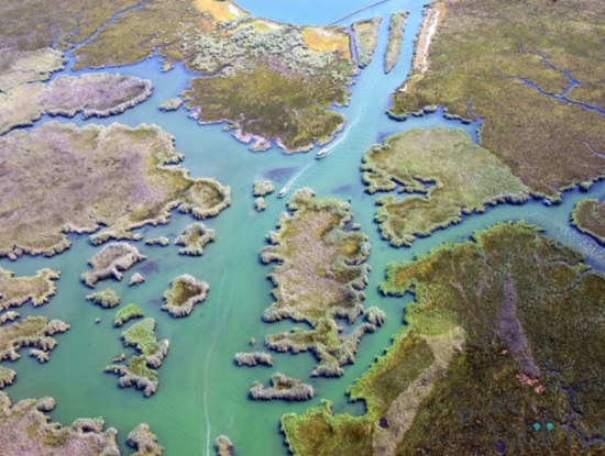 Köyceğiz Boat Tours. Koyceğiz Ege Villa