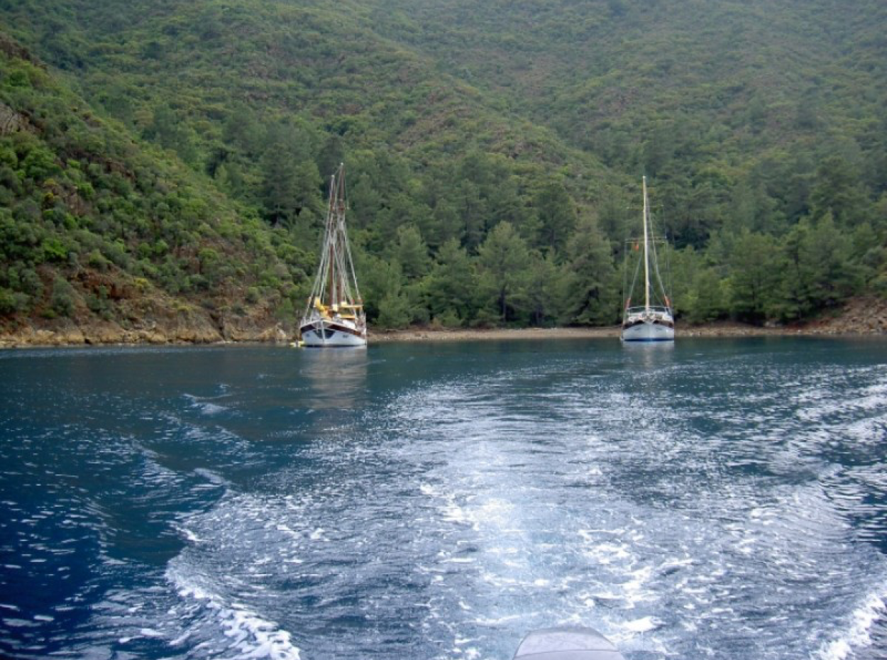 Ekincik Aktiviteleri